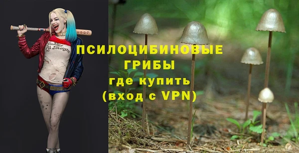 гидропоника Алексеевка