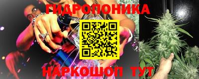 spice Дубна