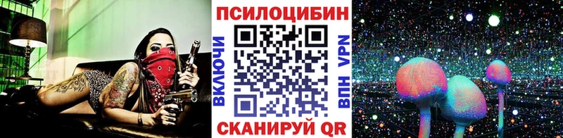 где можно купить наркотик  Михайловск  Галлюциногенные грибы мицелий 