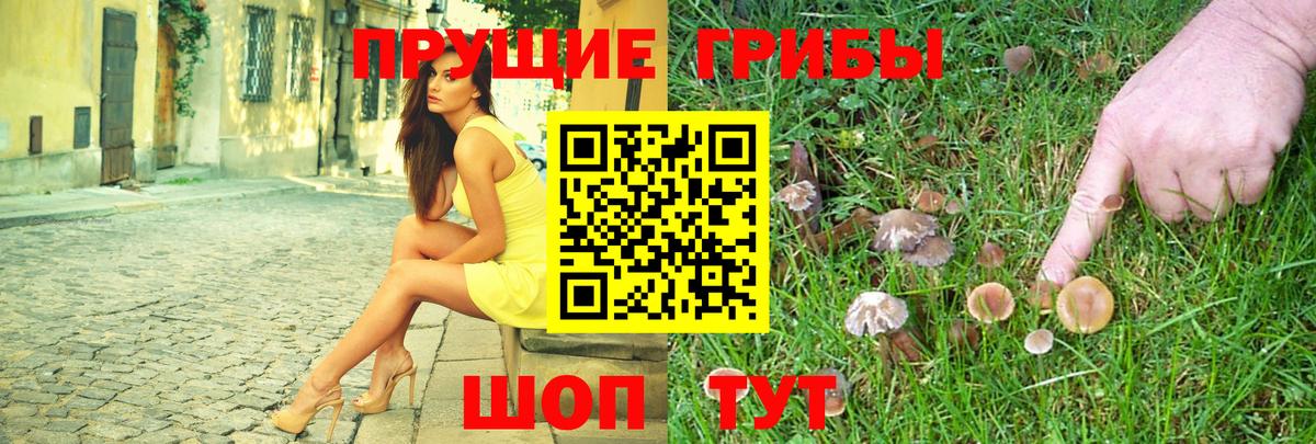 Псилоцибиновые грибы Psilocybe  Вход с VPN  Михайловск  как найти закладки  Галлюциногенные грибы мицелий 