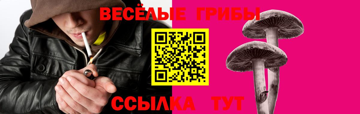 Псилоцибиновые грибы прущие грибы Михайловск